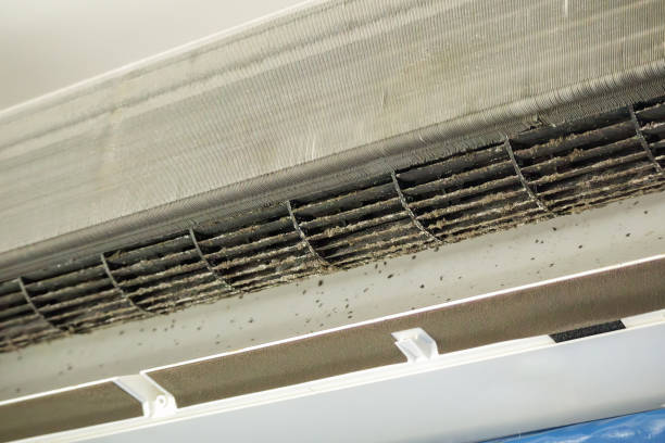 Best Commercial HVAC Duct Cleaning  in Bethel, OH